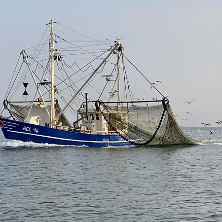 Nordsee 9 Personen