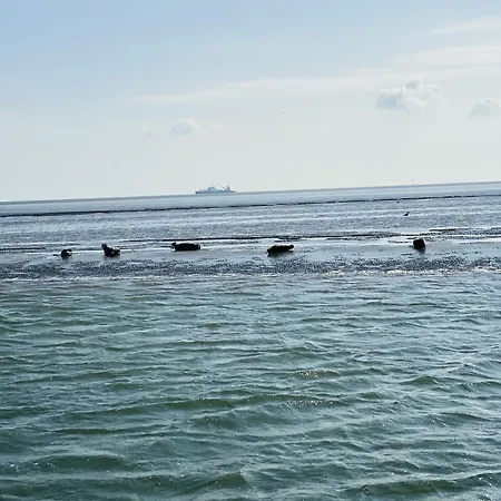 Nordsee 9 Personen Feriehus Schillig